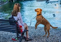 WATCH: How Jarvis the dog alerts Farnham woman before she faints