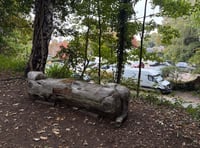 Volunteers take a seat as bench installed at nature site