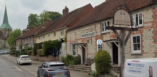 Planners agree the signs are good for South Harting pub