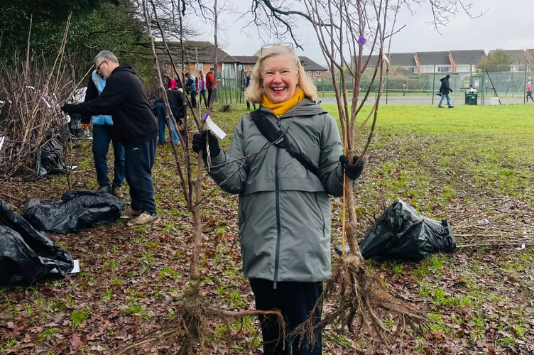 Tree collection Avenue Petersfield PeCAN
