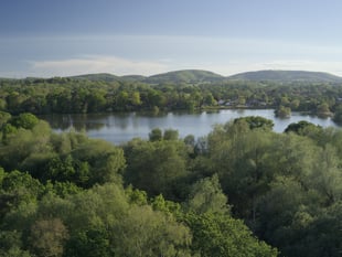 The long read: A blueprint for the future of the South Downs
