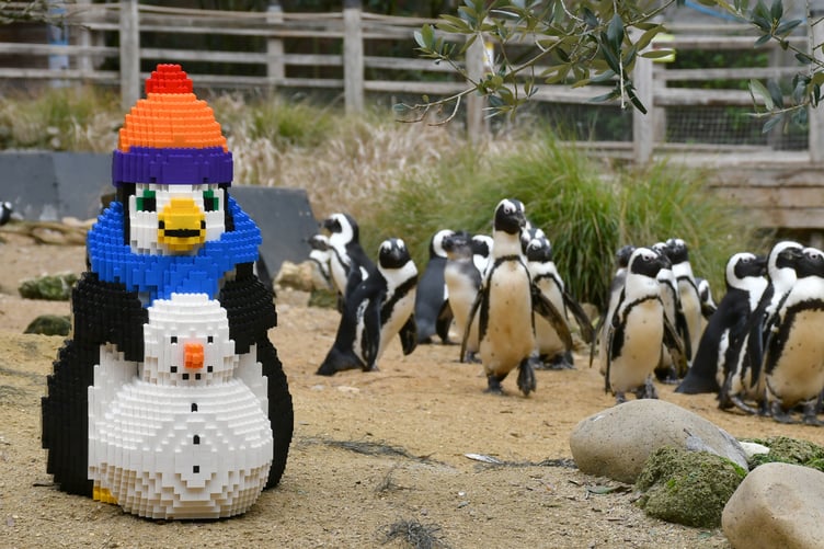 The brick model of a penguin at Birdworld.