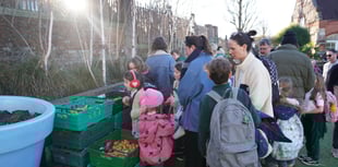 Could a school pantry help your community?