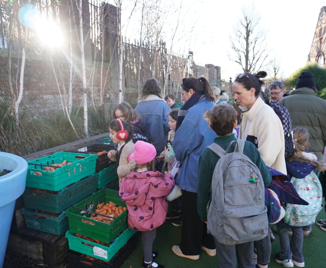 Could a school pantry help your community?