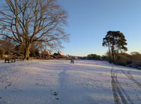 Return to sender as Heath fly-tipper leaves address