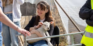 We've got news for ewe as Meon Valley farm holds lambing event