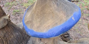 Unhappy trails as vandals target wood carvings