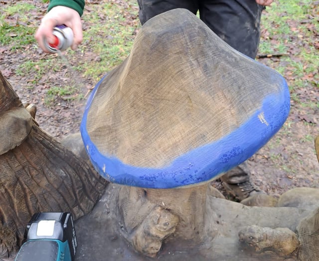 Unhappy trails as vandals target wood carvings