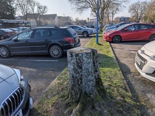 Trees returning to car park in leader's green giveaway