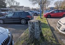 Campaigner considers sit-down protest to save trees in Petersfield car park
