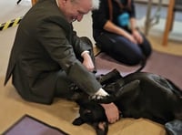 East Hampshire MP visits Alton-based Dogs for Autism