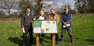 Hollywater Meadows opens as new space for nature and residents
