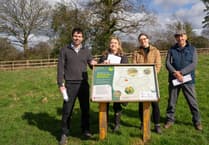Hollywater Meadows opens as new space for nature and residents