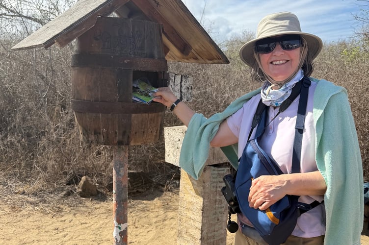 Sheila Nockold Galapagos Islands postcard