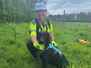 Sniffer dogs take the lead in tracking down leaking pipes in Hampshire