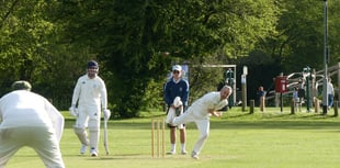 Waverley earn impressive victory at Medstead