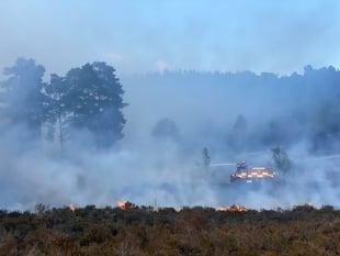 Warning issued after wildfire breaks out on Hankley Common