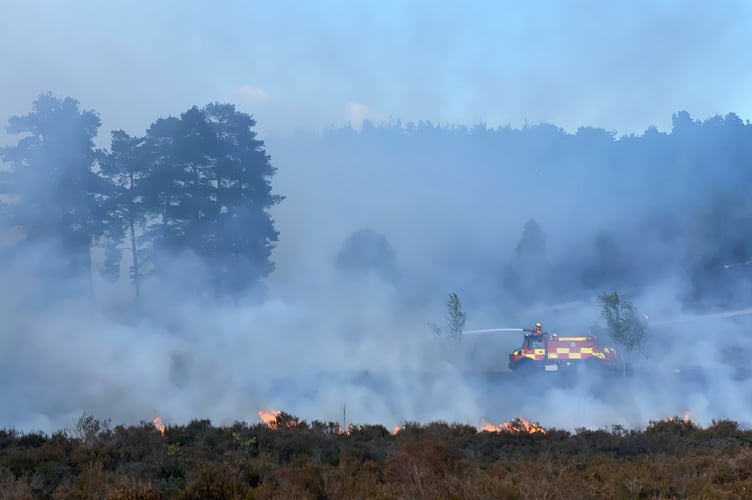 Firefighters tackle the wildfire at Hankley Common as crews work to bring the blaze under control. Credit: The Sculpture Park