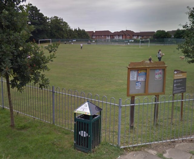 Councillors happy for circus to return to Avenue site