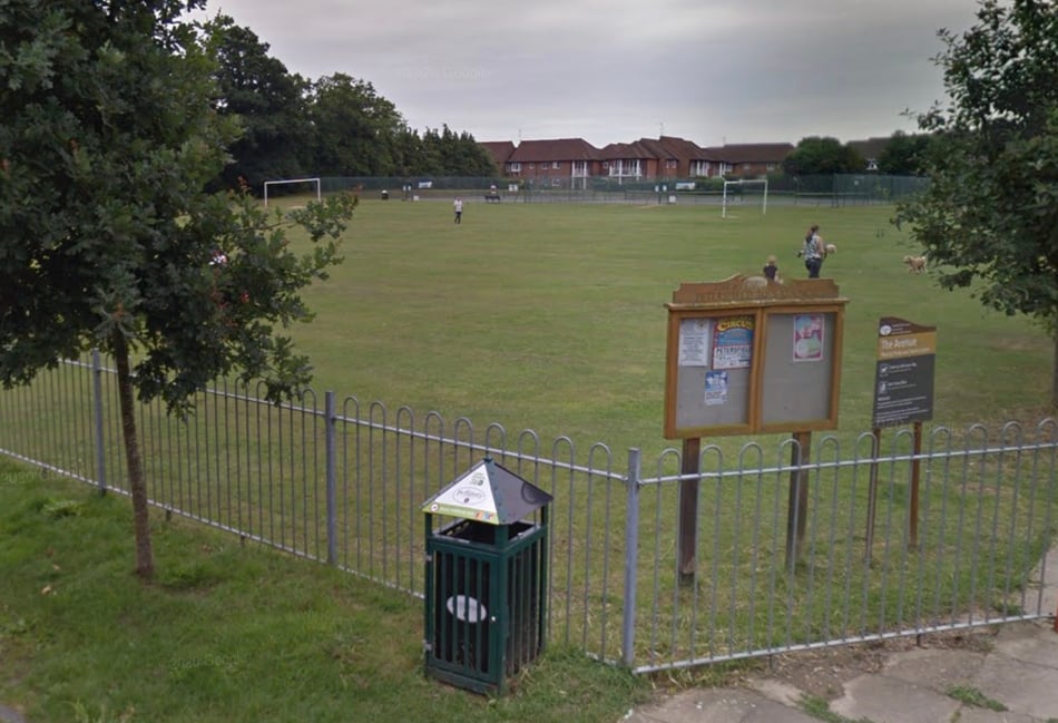 Councillors happy for circus to return to Avenue site