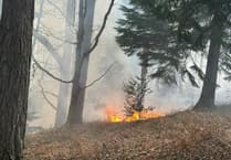 WATCH: Firefighters tackle woodland blaze between Haslemere and Farnham
