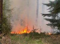 Fire crews tackle major heath blaze on Surrey–Hants border