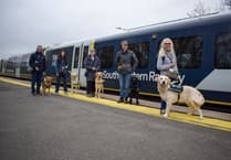 All aboard for puppy training at Hampshire station