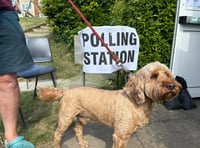 Live: West Surrey and Hampshire local elections
