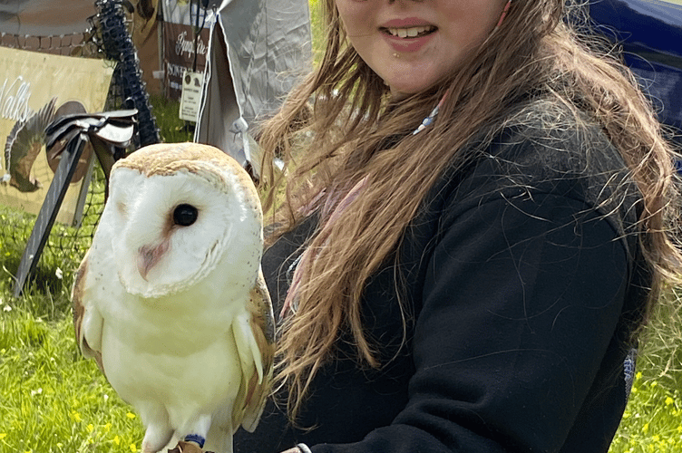 Poppy Coates with Wilfred the tawny owl, Alresford Watercress Festival, May 17th 2026.