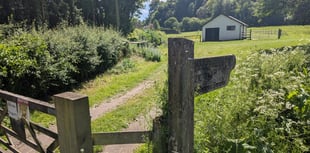 High Street boost as plans for Selborne village shop submitted