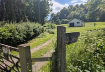 High Street boost as plans for Selborne village shop submitted
