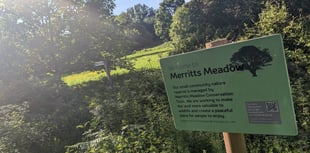 Wild for it: Petersfield nature reserve to hold Nature Day