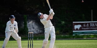Alton's second team earn impressive 36-run win against Hartley Wintney