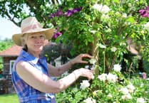 Hampshire and Surrey clubs and societies news