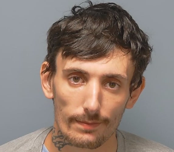 Harry Wild Wecock Thief