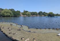 Warning to dog owners as potentially toxic algae detected at Petersfield Heath Pond