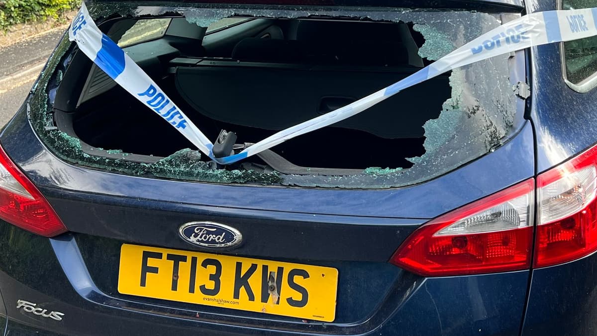 Dog walker despair as request to move vandalised car in Alton hits dead end