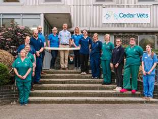 Cedar Vets in Alton launches 24-hour animal care service