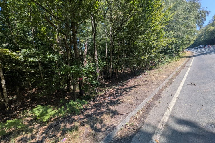 Ewshot Woodland Fire A287