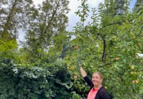 Farnham cider maker presses for tougher labelling rules