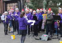 Band brings sax appeal to Alton Public Gardens