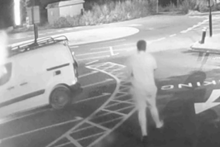McDonalds Petersfield Dog Death Hampshire Police