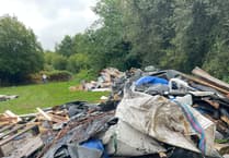 'They must have dumped 7 or 8 lorry loads during the night'