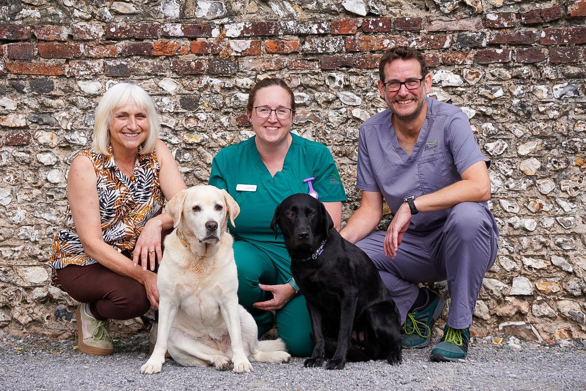 Meon Valley woman thanks Petersfield vets for giving dogs a digestive lifeline