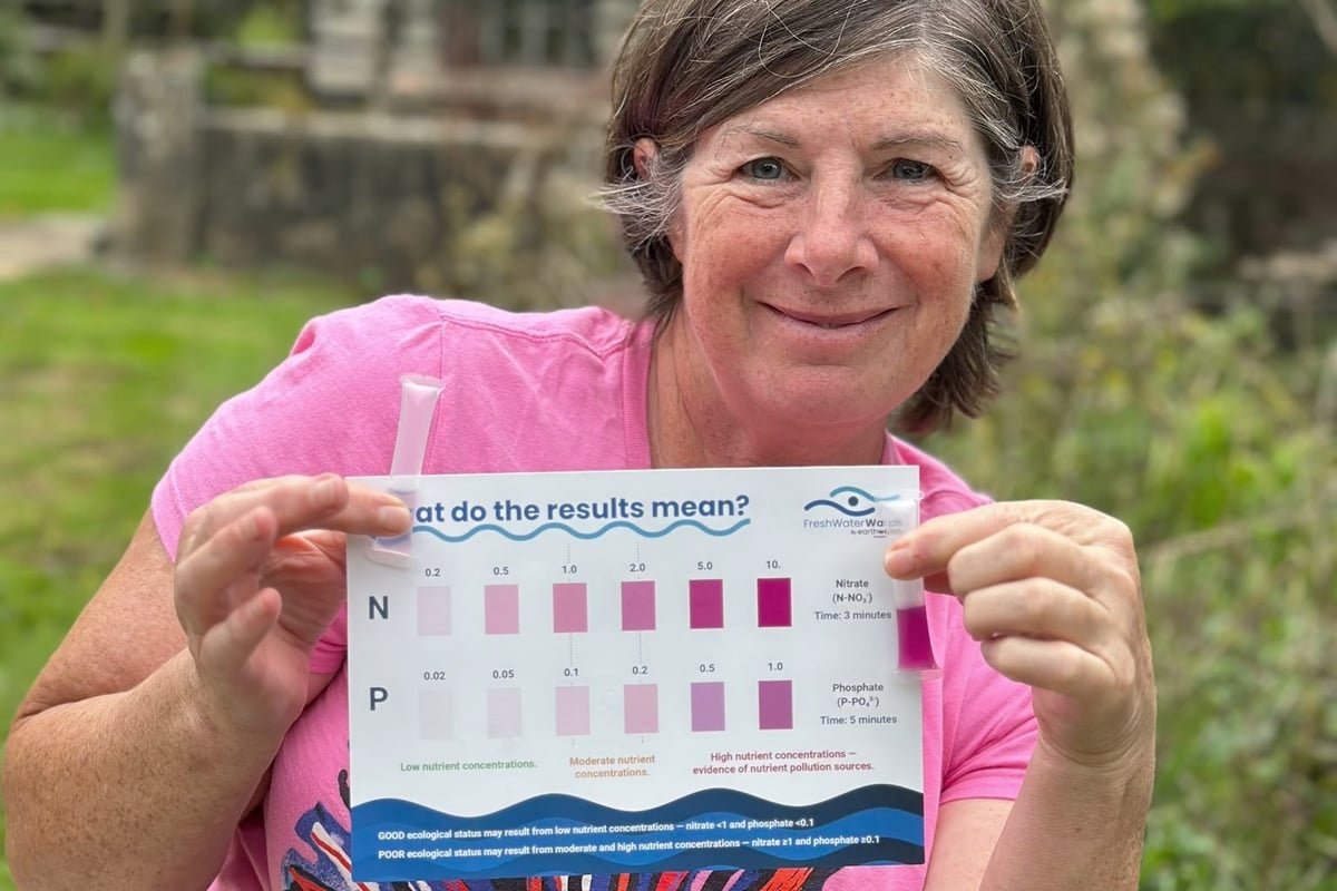 'Concerning' nitrate levels found in East Hampshire pond and river