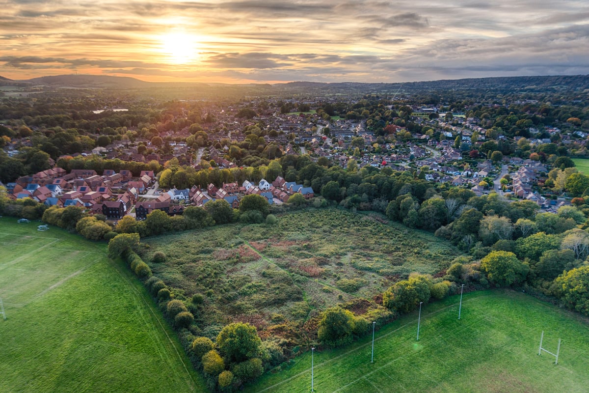 Has a failed court case over dormice kicked Petersfield rugby club pitch plan into touch?