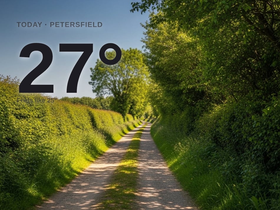 Petersfield: sunny day, high of 27°C