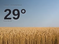 Petersfield: sunny day, high of 29°C