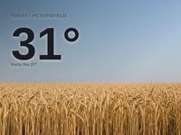 Petersfield: sunny day, high of 31°C