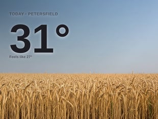 Petersfield: sunny day, high of 31°C